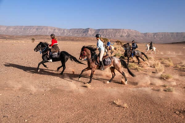 Balade à cheval - désert maroc