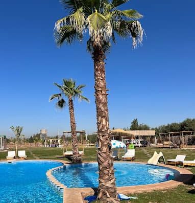 Piscine avec palmiers marrakech