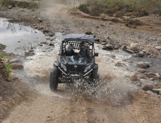 Buggy-Cf-Palmeraie-3